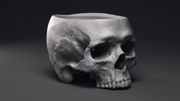 Skull Flower Pot Printable 3D Model