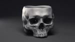 Skull Flower Pot Printable 3D Model