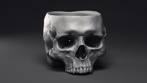 Skull Flower Pot Printable 3D Model