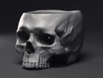 Skull Flower Pot Printable 3D Model