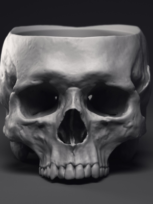 Skull Flower Pot Printable 3D Model