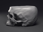 Skull Flower Pot Printable 3D Model