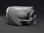Skull Flower Pot Printable 3D Model