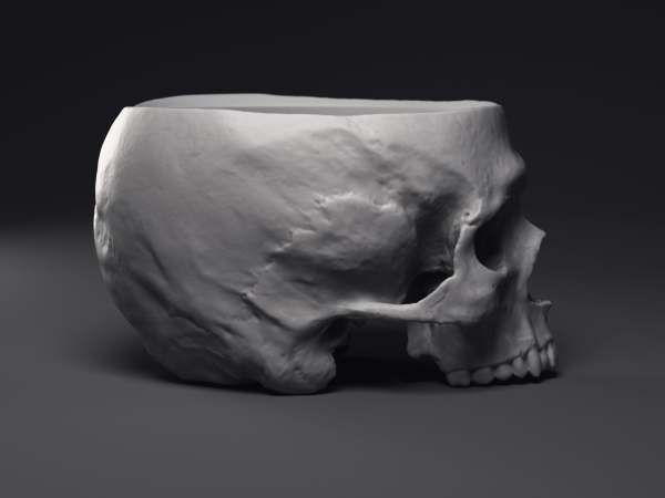 Skull Flower Pot Printable 3D Model