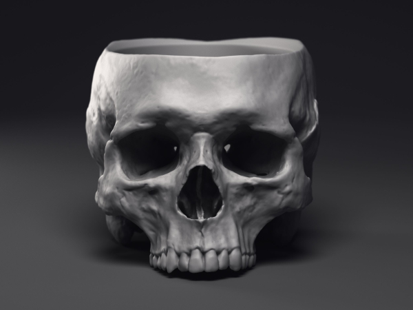 Skull Flower Pot Printable 3D Model