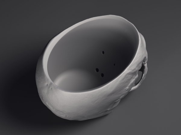 Skull Flower Pot Printable 3D Model