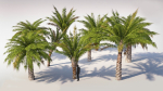 Small Palm 9 Trees Set
