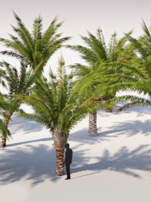 small-palm-9-trees-set-3d-model-low-poly-max-obj-3ds-fbx