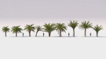 Small Palm 9 Trees Set