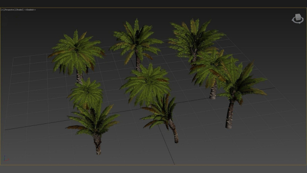 Small Palm 9 Trees Set