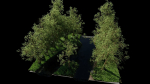 Small Scene 2