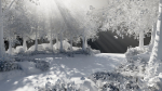 Small Scene 2