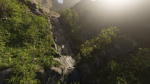 Small Waterfall Scene