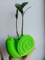Snail Planter