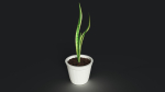 sneck plant 3D model with texture