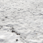 Snow ground Scan 10k