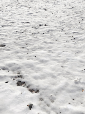 snow-ground-scan-10k-3d-model-max-obj-fbx