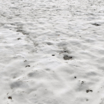 Snow ground Scan 10k