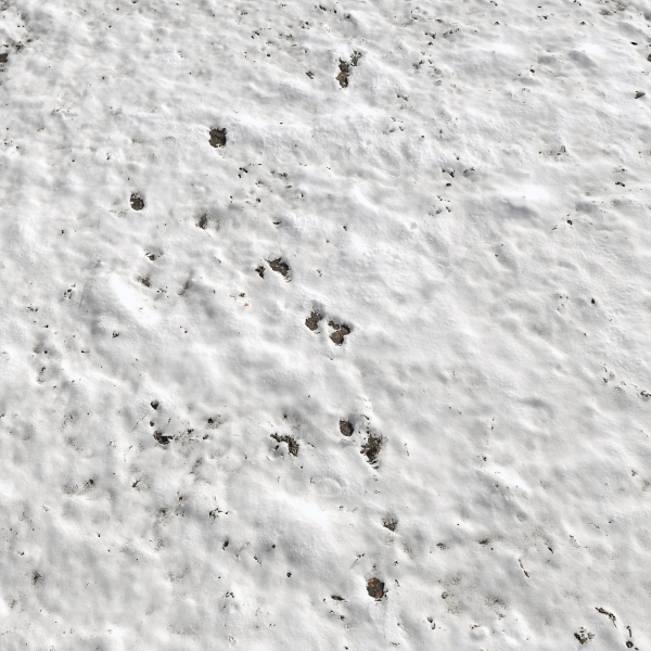Snow ground Scan 10k