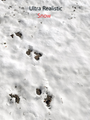 Snow ground Scan 10k