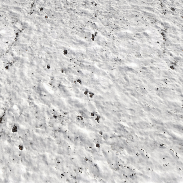 Snow ground Scan 10k