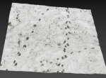 Snow ground Scan 10k