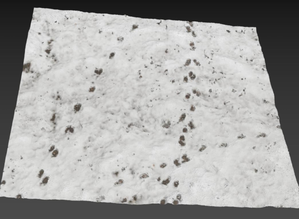 Snow ground Scan 10k