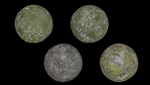 4 Soil Moss set