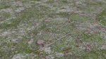 4 Soil Moss set