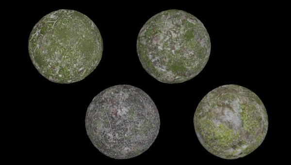 4 Soil Moss set