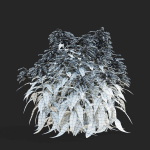 Solidago flower