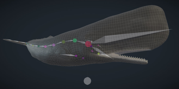 Sperm Whale