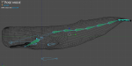 Sperm Whale