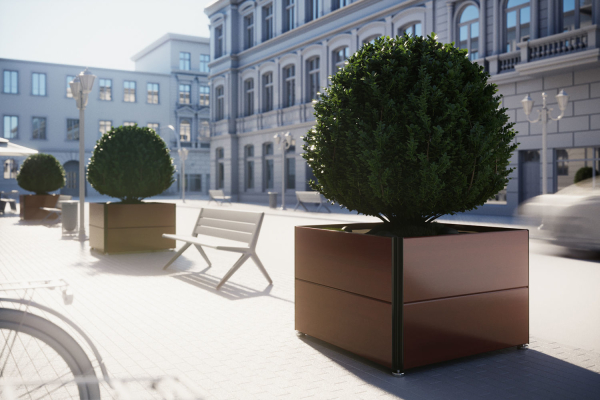 Spherical bush in a pot