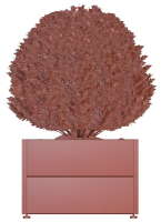 Spherical bush in a pot