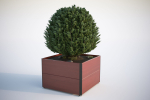 Spherical bush in a pot