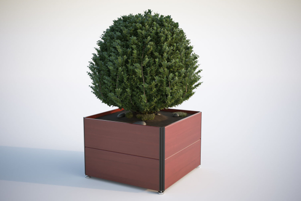 Spherical bush in a pot