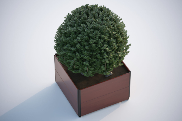 Spherical bush in a pot