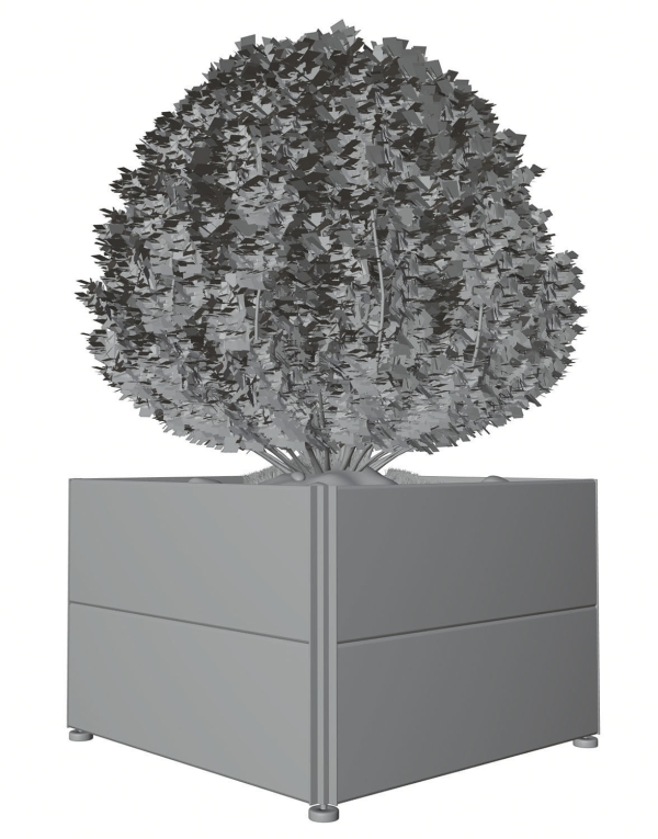 Spherical bush in a pot