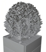 Spherical bush in a pot