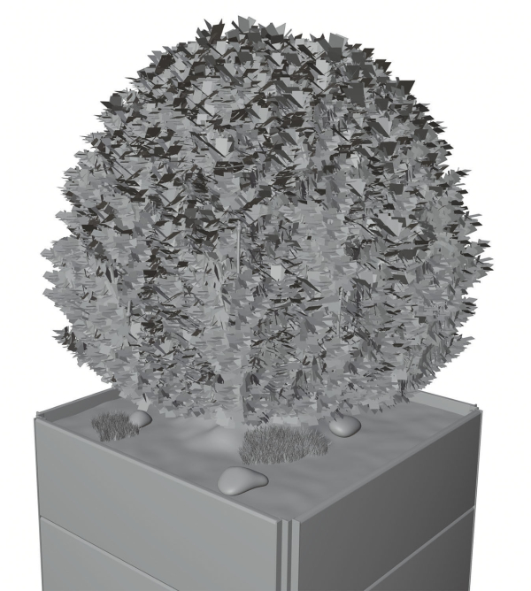 Spherical bush in a pot