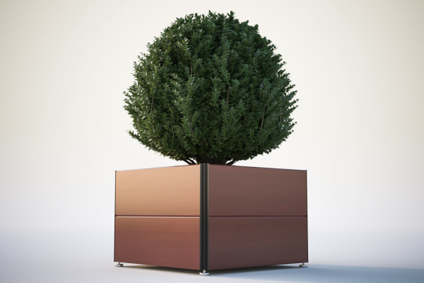 Spherical bush in a pot