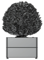 Spherical bush in a pot