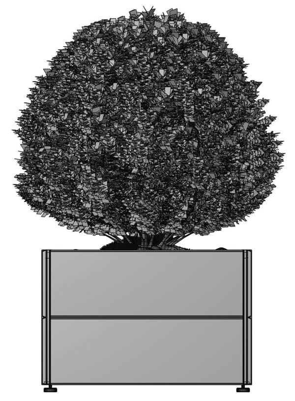 Spherical bush in a pot