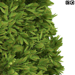 Spherical Bushes