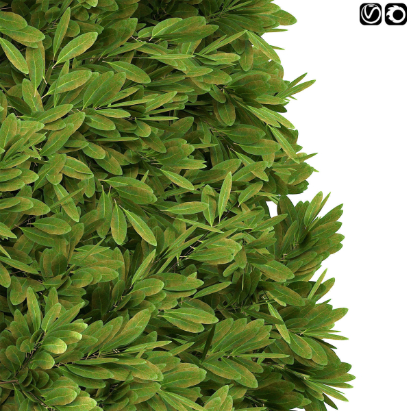 Spherical Bushes
