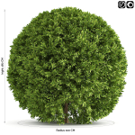 Spherical Bushes