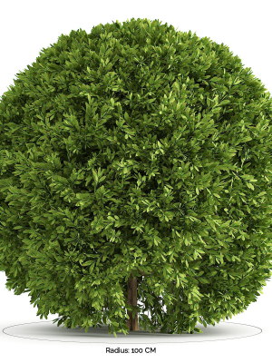 Spherical Bushes