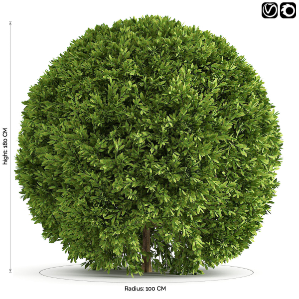 Spherical Bushes