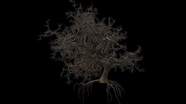 Spooky tree with pbr textures